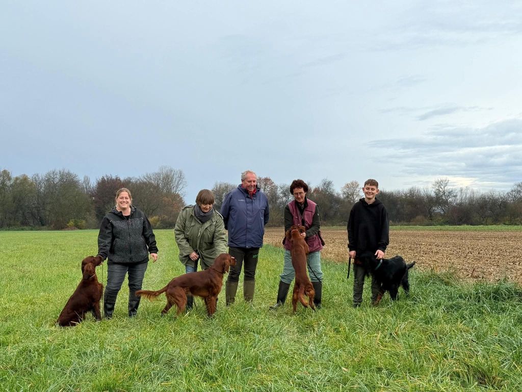 1ers Fields - Kogenheim